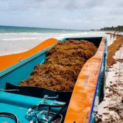 Limpia Playas Scarbat